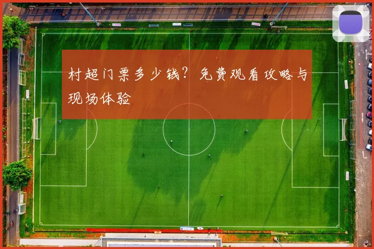 村超门票多少钱？免费观看攻略与现场体验